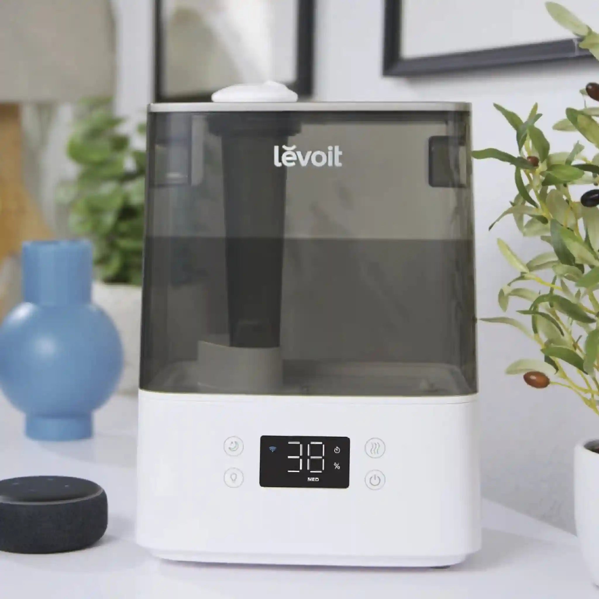 levoithomes.com