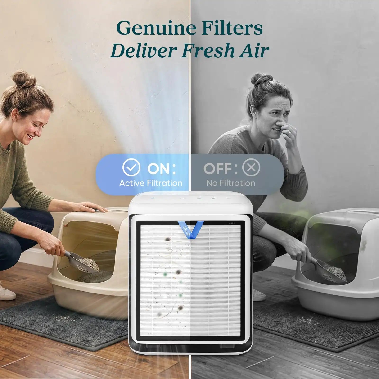 levoithomes.com